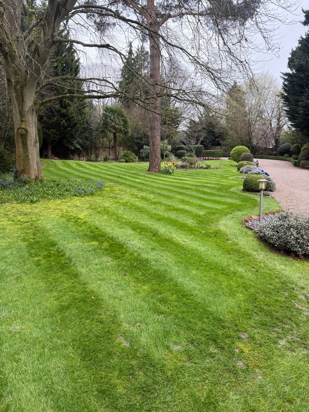 Commercial grounds maintenance